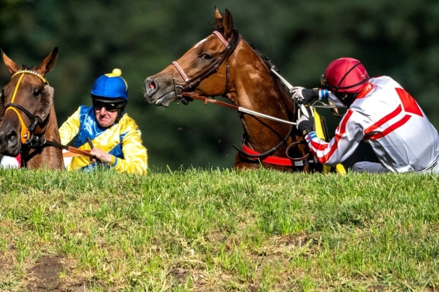 ŽIVĚ: Velká pardubická