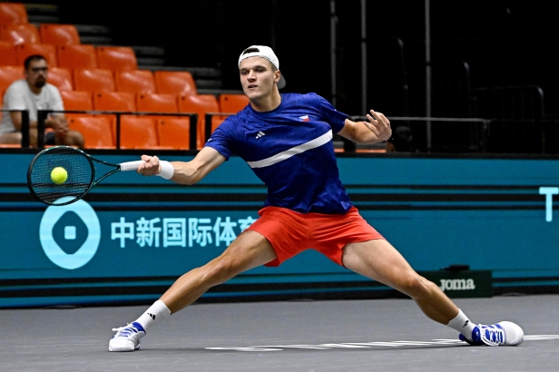 Tenisté zakončili letošní Davis Cup porážkou s Francií. O jedinou výhru se postaral Menšík