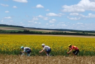ŽIVĚ: 4. etapa Tour de France