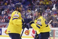 SESTŘIH: Nadšení polského nováčka na profesorský hokej Švédů nestačilo
