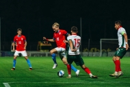Převahu Bulharů dlouho krotil brankář Koutný, lvíčata ale v závěru přišla o bod