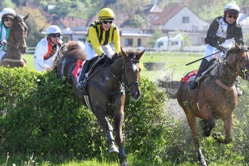 ŽIVĚ: Velká slušovická steeplechase