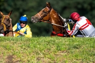 ŽIVĚ: Velká pardubická