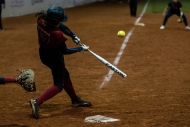Softbalistky si poradily také s Německem
