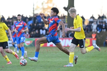 Výhru Plzně v poháru nad Novými Sady zařídili Durosinmi a Červ