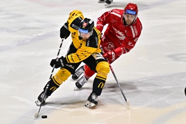 ŽIVĚ: Hokejová extraliga Litvínov – Třinec 1:1